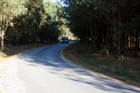 [Rozmiar: