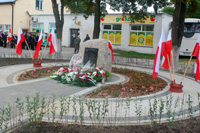 [Rozmiar: