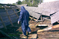[Rozmiar: